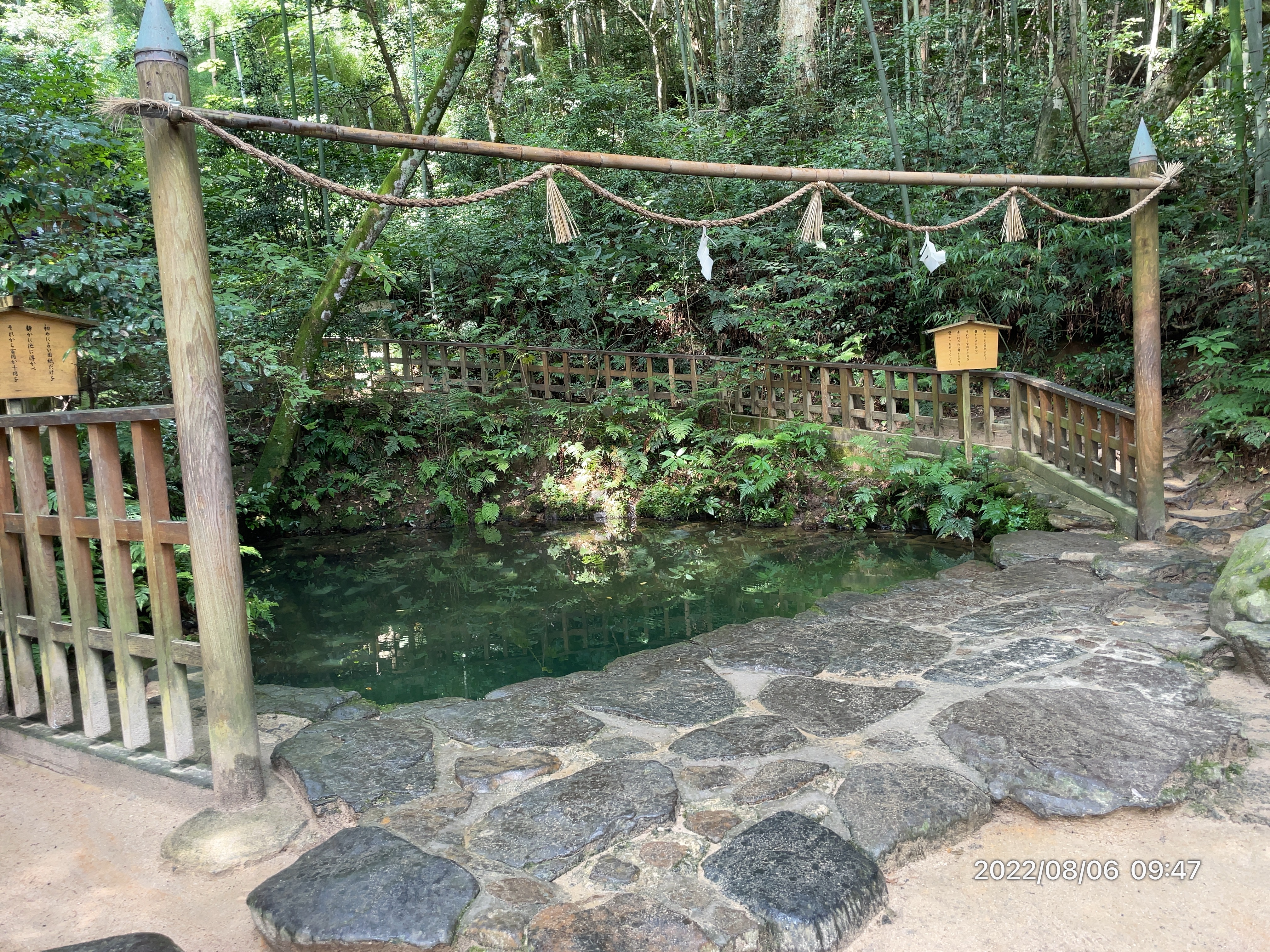 八重垣神社 鏡の池